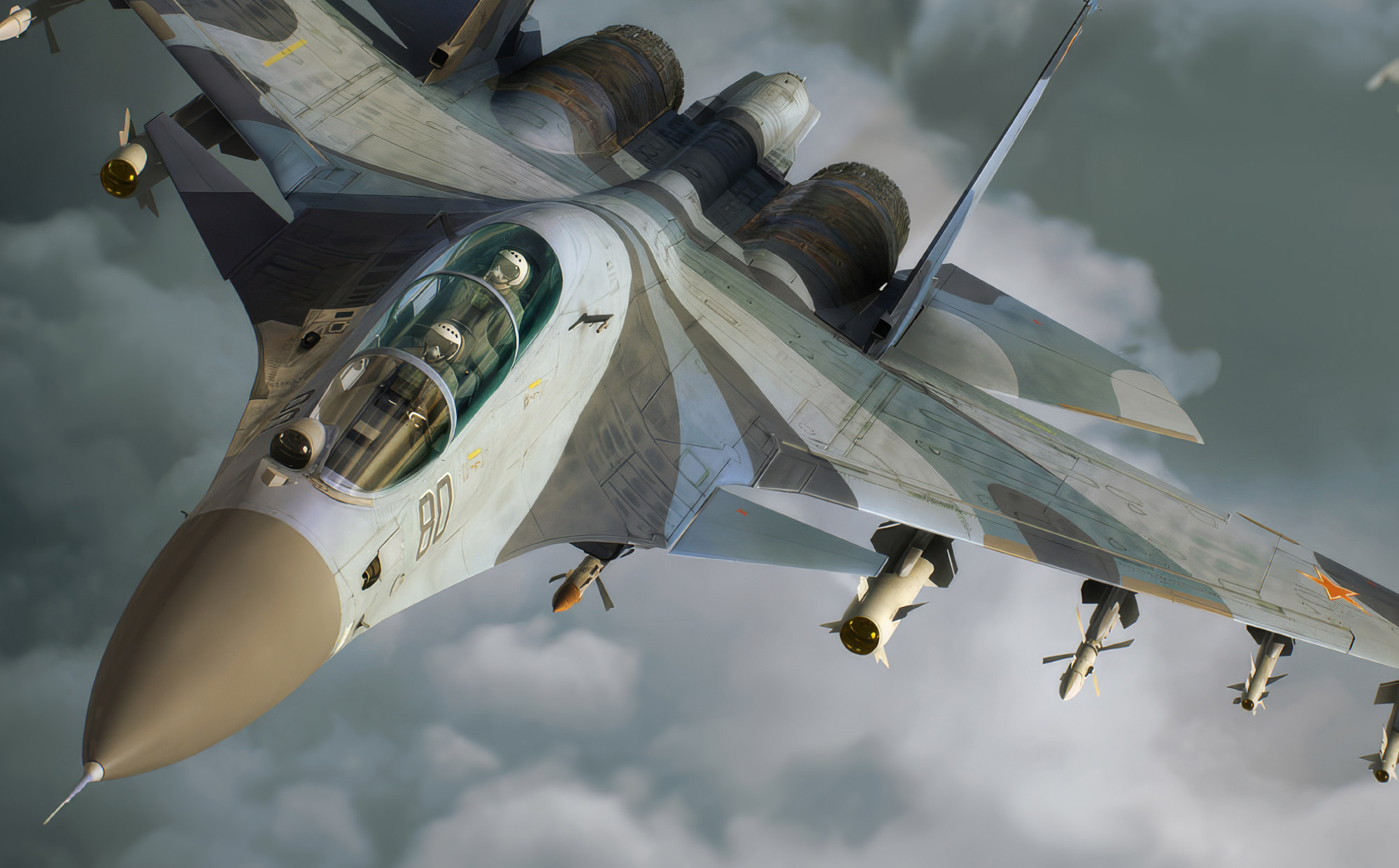 Sukhoi Su-30 / Flanker-C/G/H actual-resolution detail sample